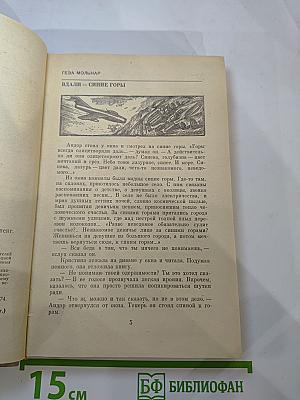 Дикие Каштаны