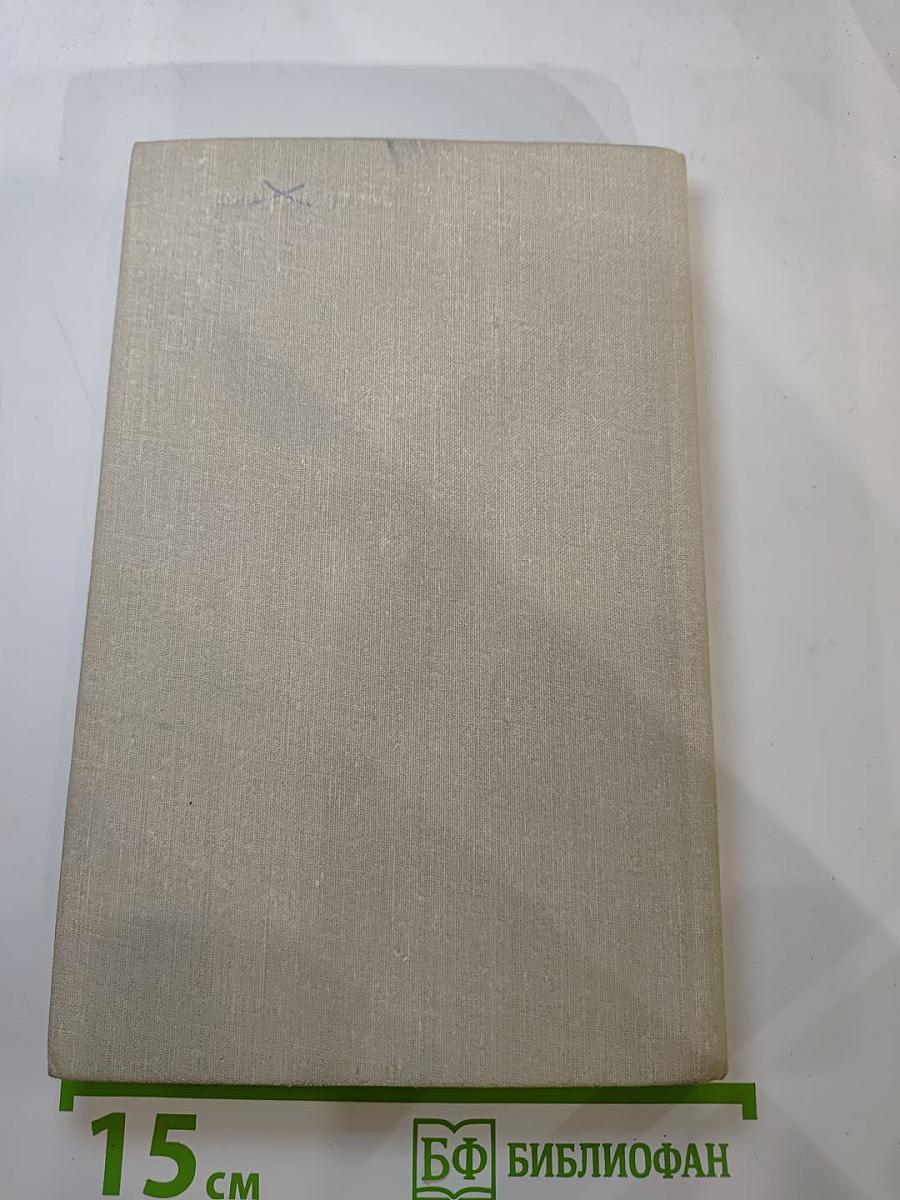 Дикие Каштаны