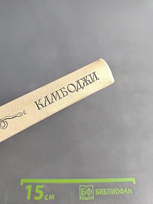 Похождения хитроумного Алеу. Сказки Камбоджи