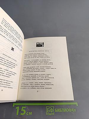 Возвращение домой