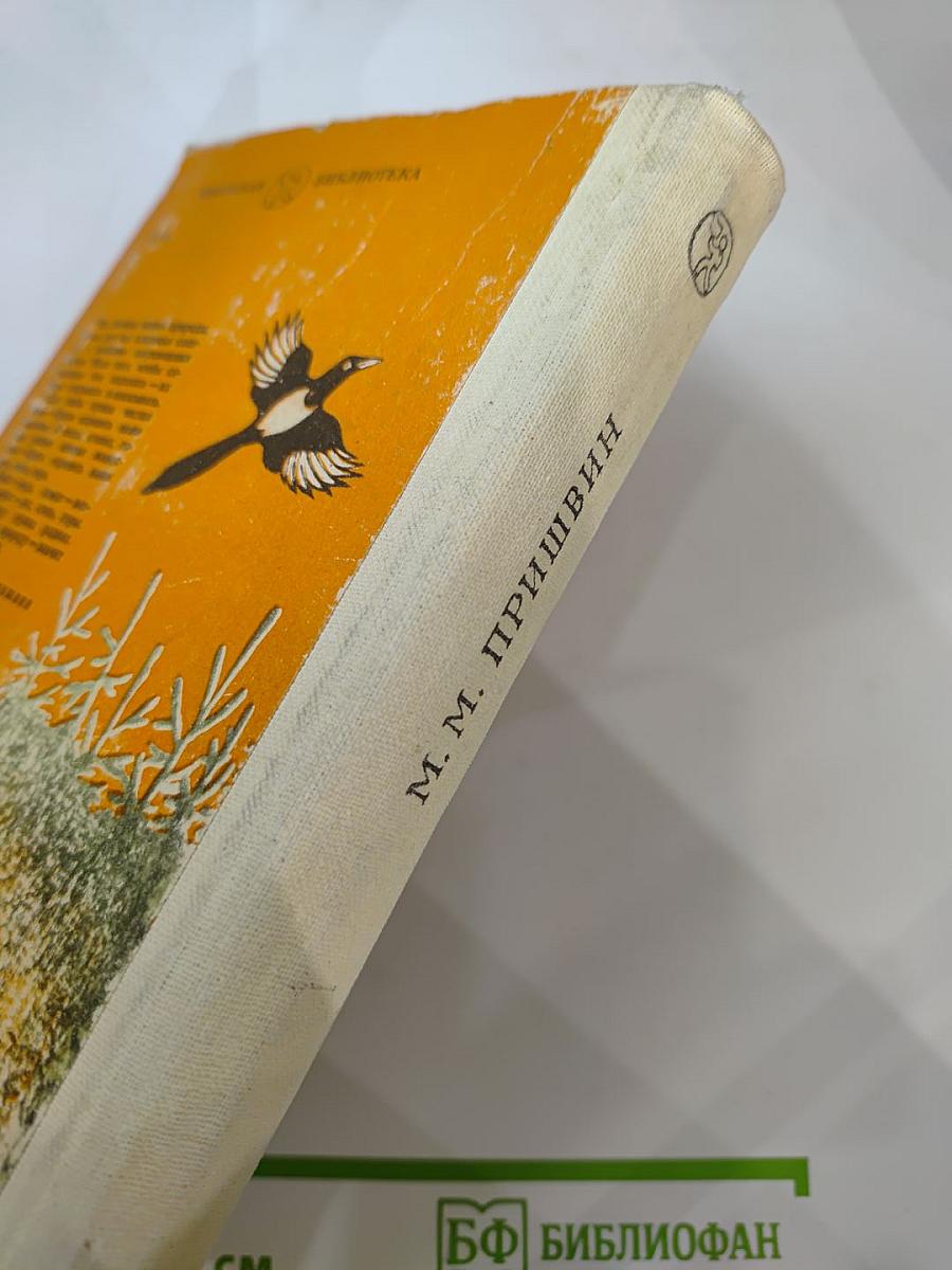 Кладовая солнца. Рассказы и повести