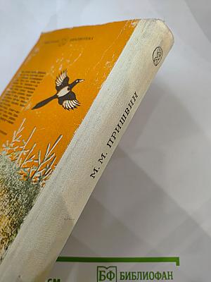 Кладовая солнца. Рассказы и повести