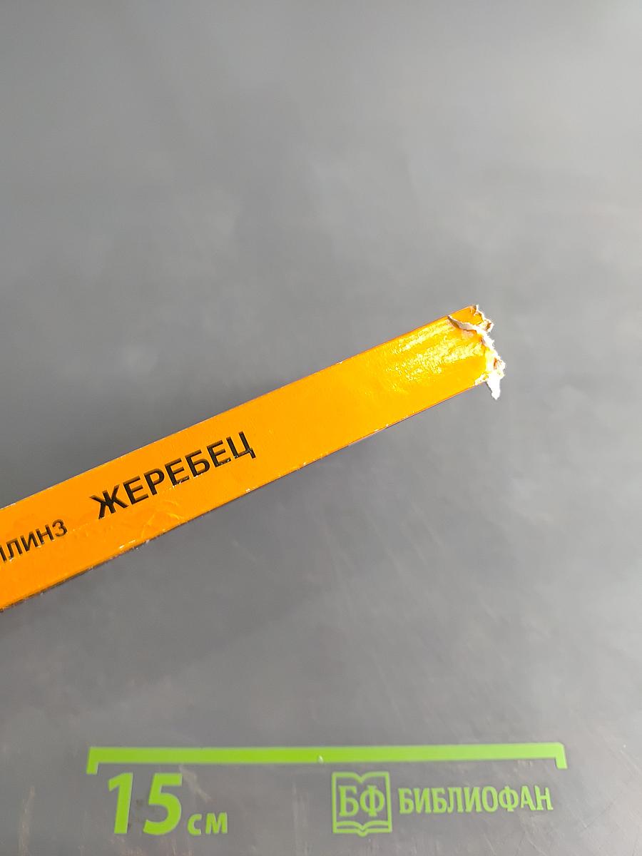 Жеребец