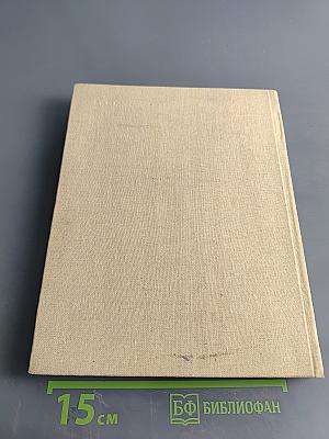 Петр Васильевич Басин. 1793-1877