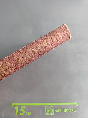 Александр Матросов (Библиотека школьника)