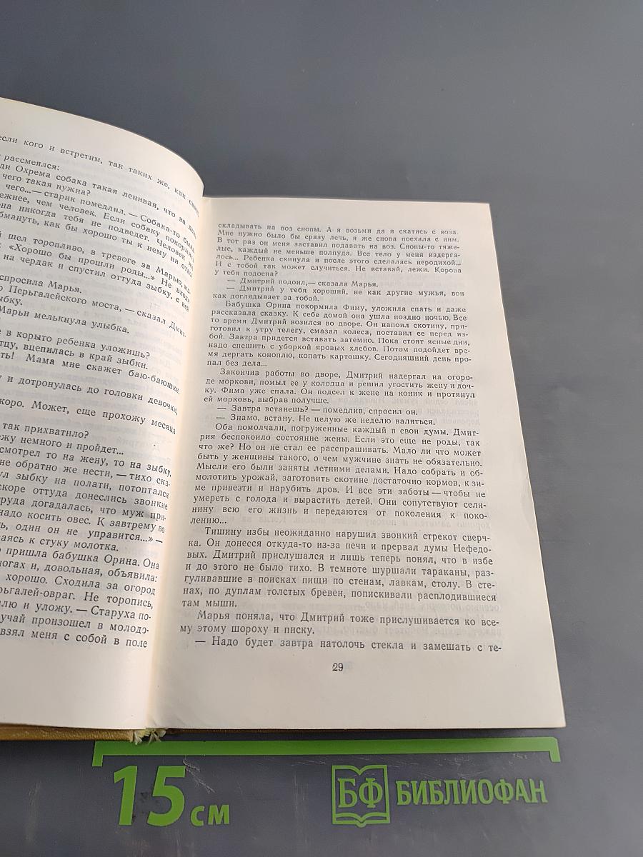 Степан Эрзя