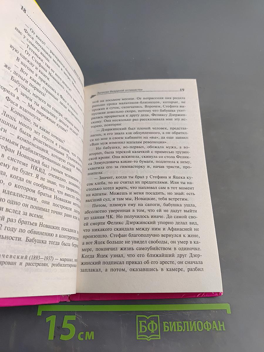 Записки безумной оптимистки. Два года спустя