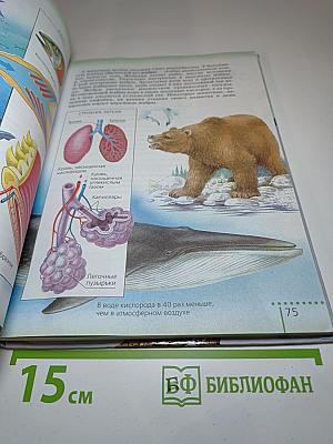 Биология. Живой организм. 6 класс