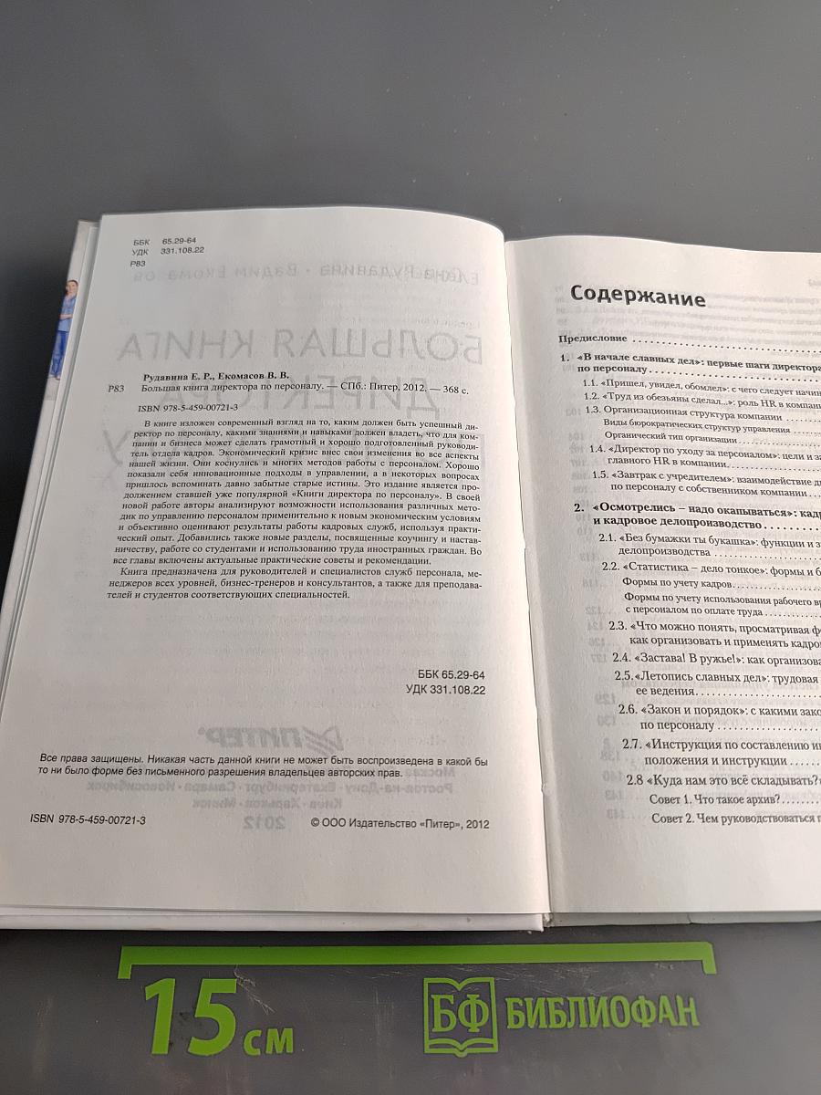 Большая книга директора по персоналу