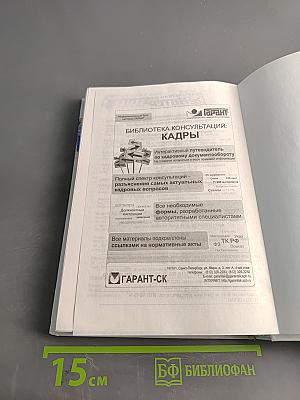 Большая книга директора по персоналу