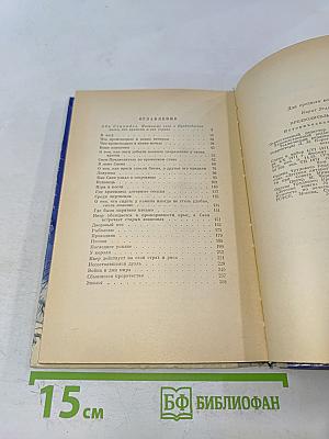 Предводитель энгов