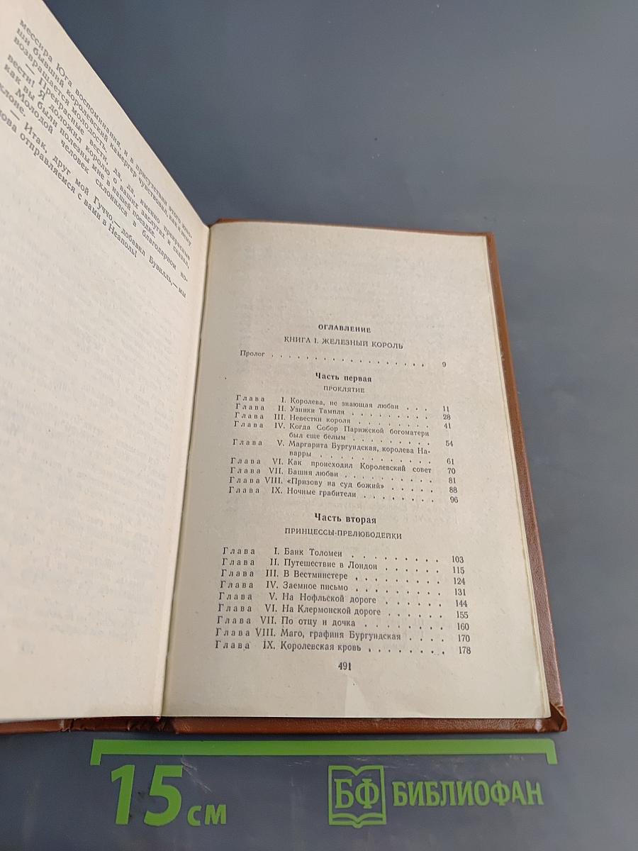 Железный король. Узница Шато-Тайафара