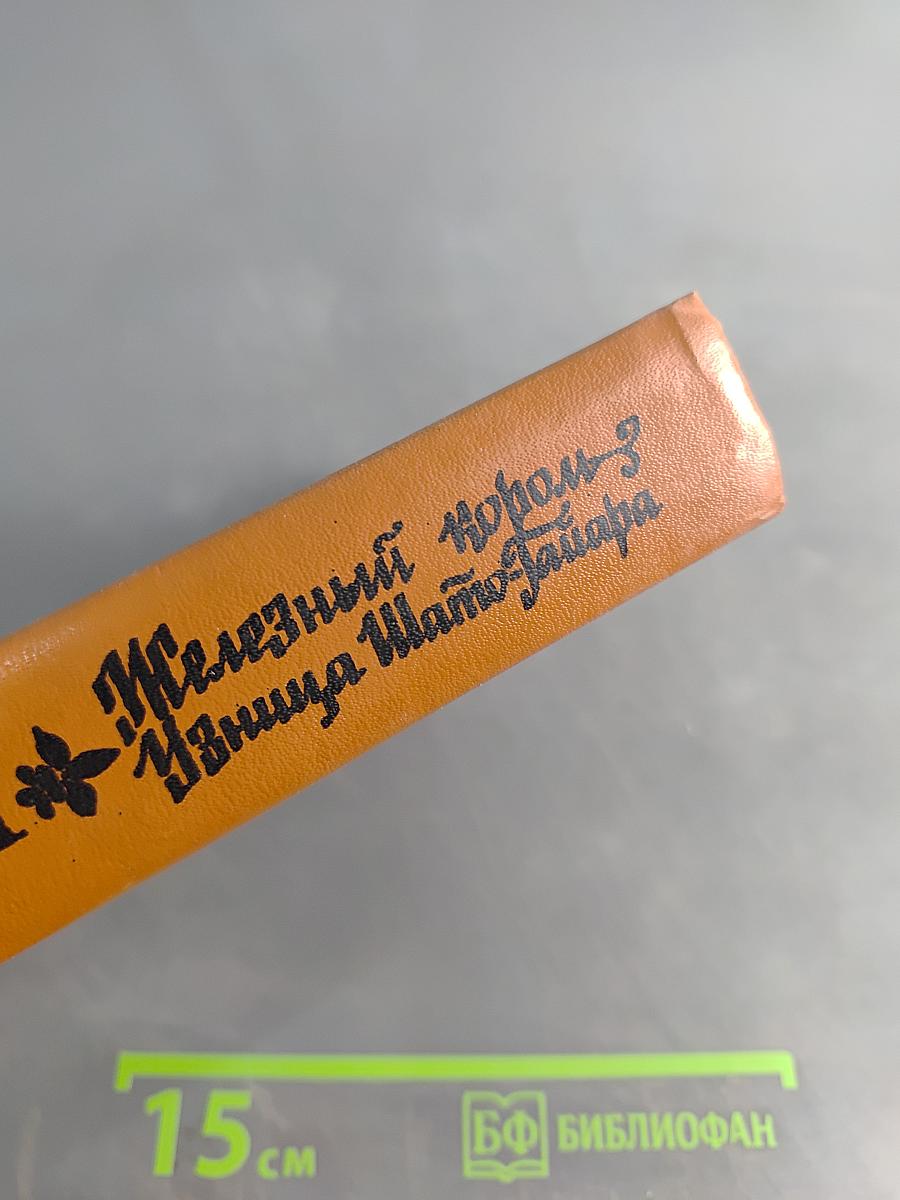 Железный король. Узница Шато-Тайафара