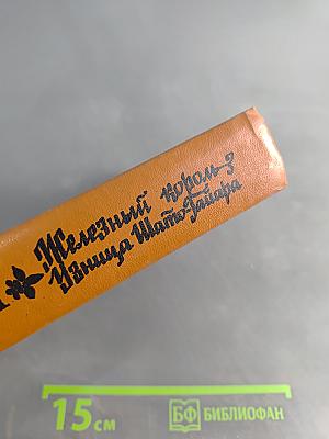 Железный король. Узница Шато-Тайафара