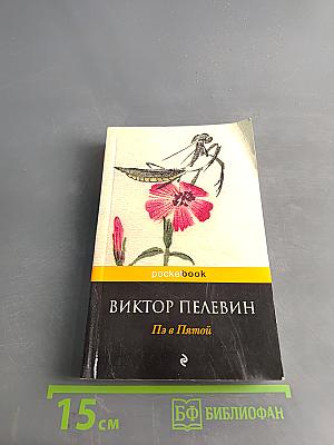 Пэ в Пятой