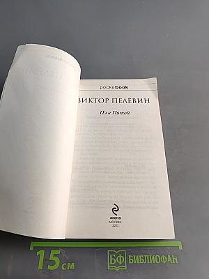 Пэ в Пятой