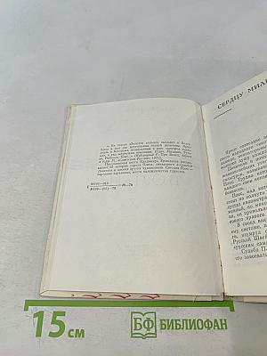 Плес. Жемчужина Волги