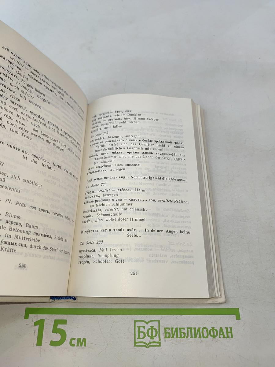 Десять русских поэтов для говорящих на немецком языке