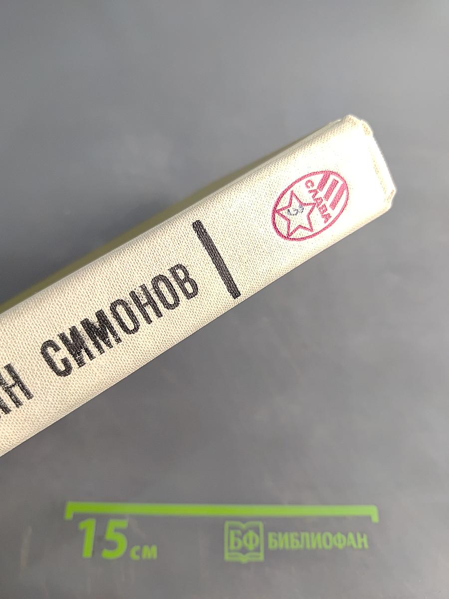 Живые и мертвые. Роман в трех книгах. Книга 3. Последнее лето