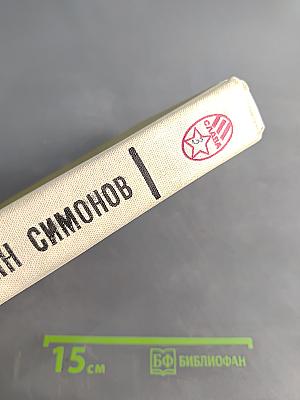 Живые и мертвые. Роман в трех книгах. Книга 3. Последнее лето