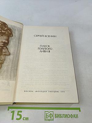 Плёс голубого липня