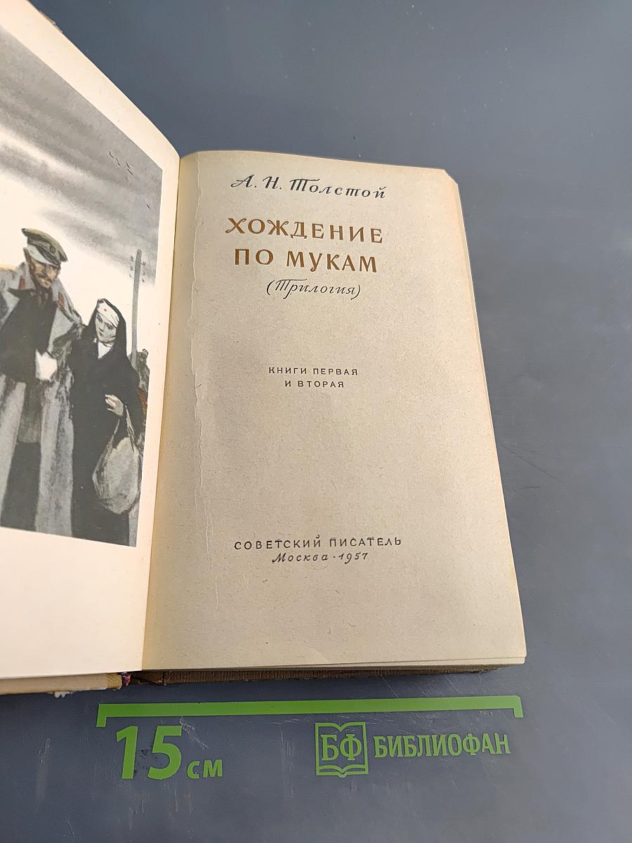 Хождение по мукам (Прилогия). Книги первая и вторая