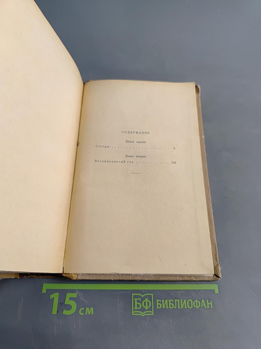 Хождение по мукам (Прилогия). Книги первая и вторая