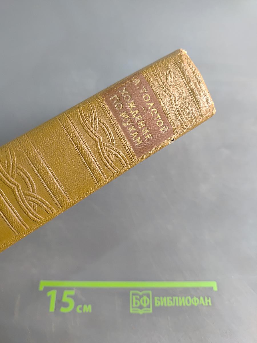 Хождение по мукам (Прилогия). Книги первая и вторая