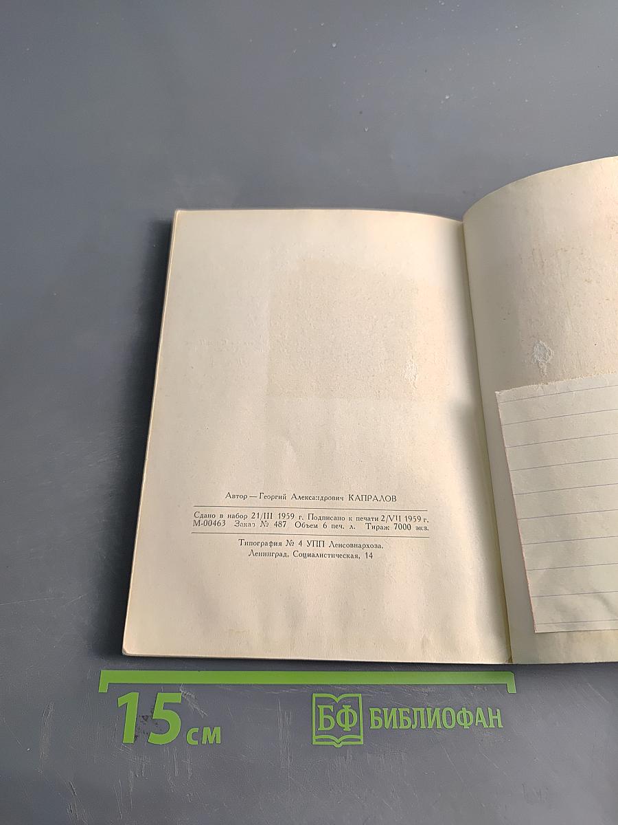 Поэзия жизни