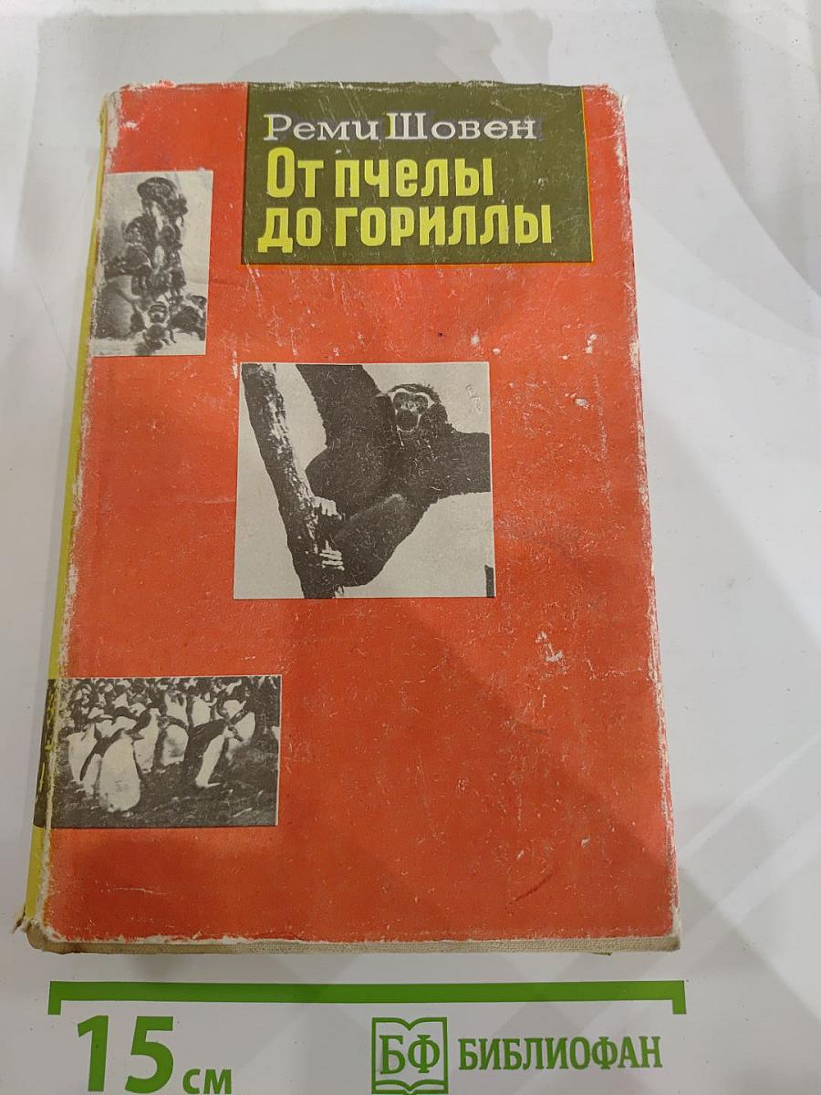 От пчелы до гориллы