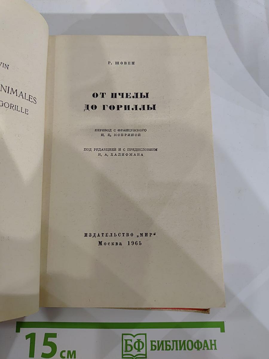 От пчелы до гориллы