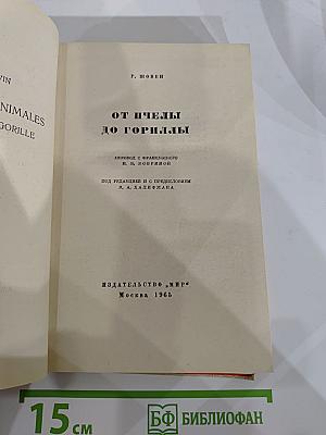 От пчелы до гориллы