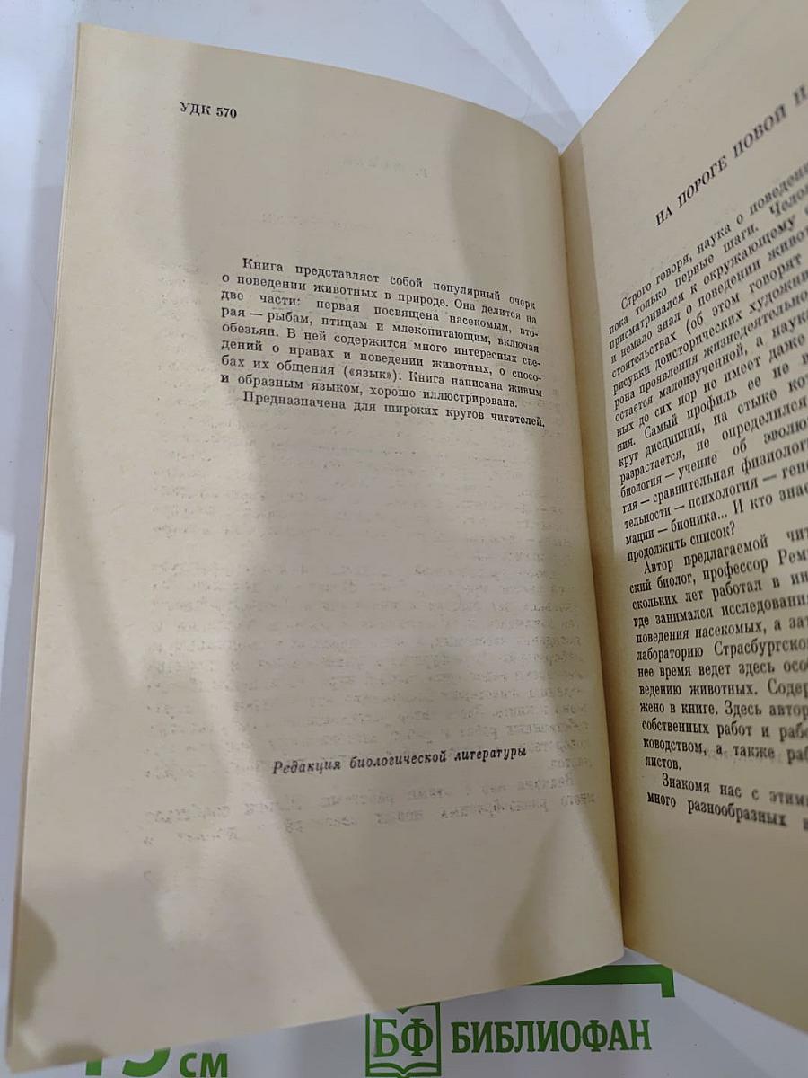 От пчелы до гориллы