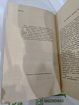 От пчелы до гориллы