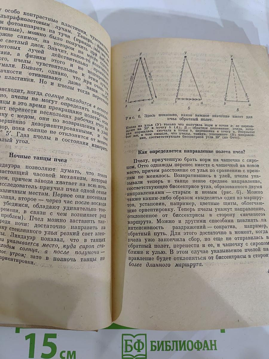 От пчелы до гориллы