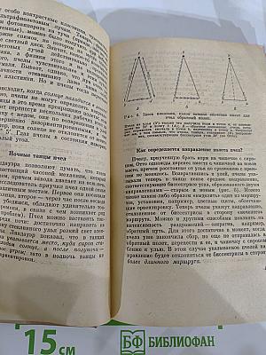 От пчелы до гориллы