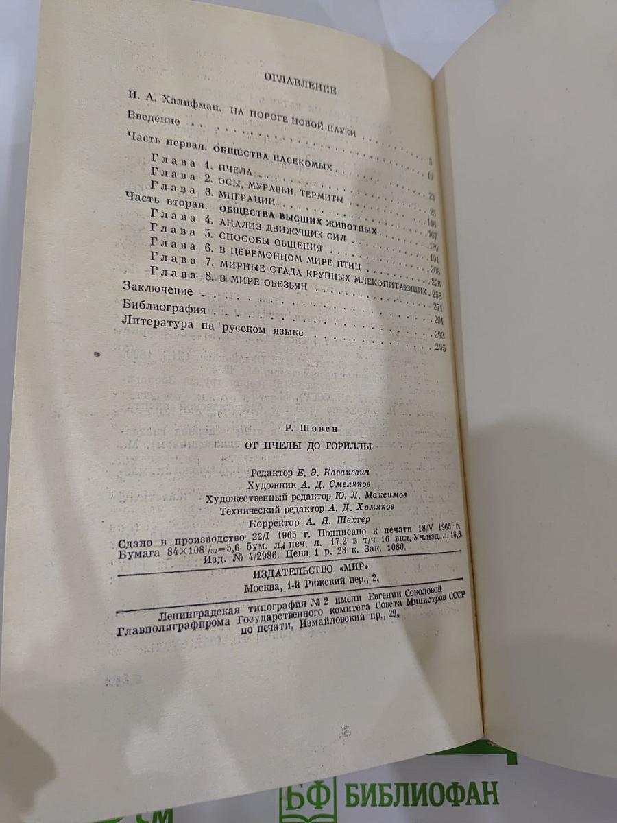 От пчелы до гориллы