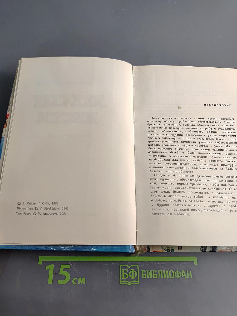 Как себя вести