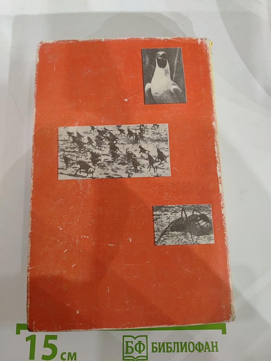 От пчелы до гориллы