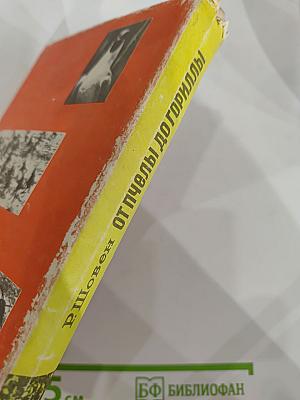 От пчелы до гориллы