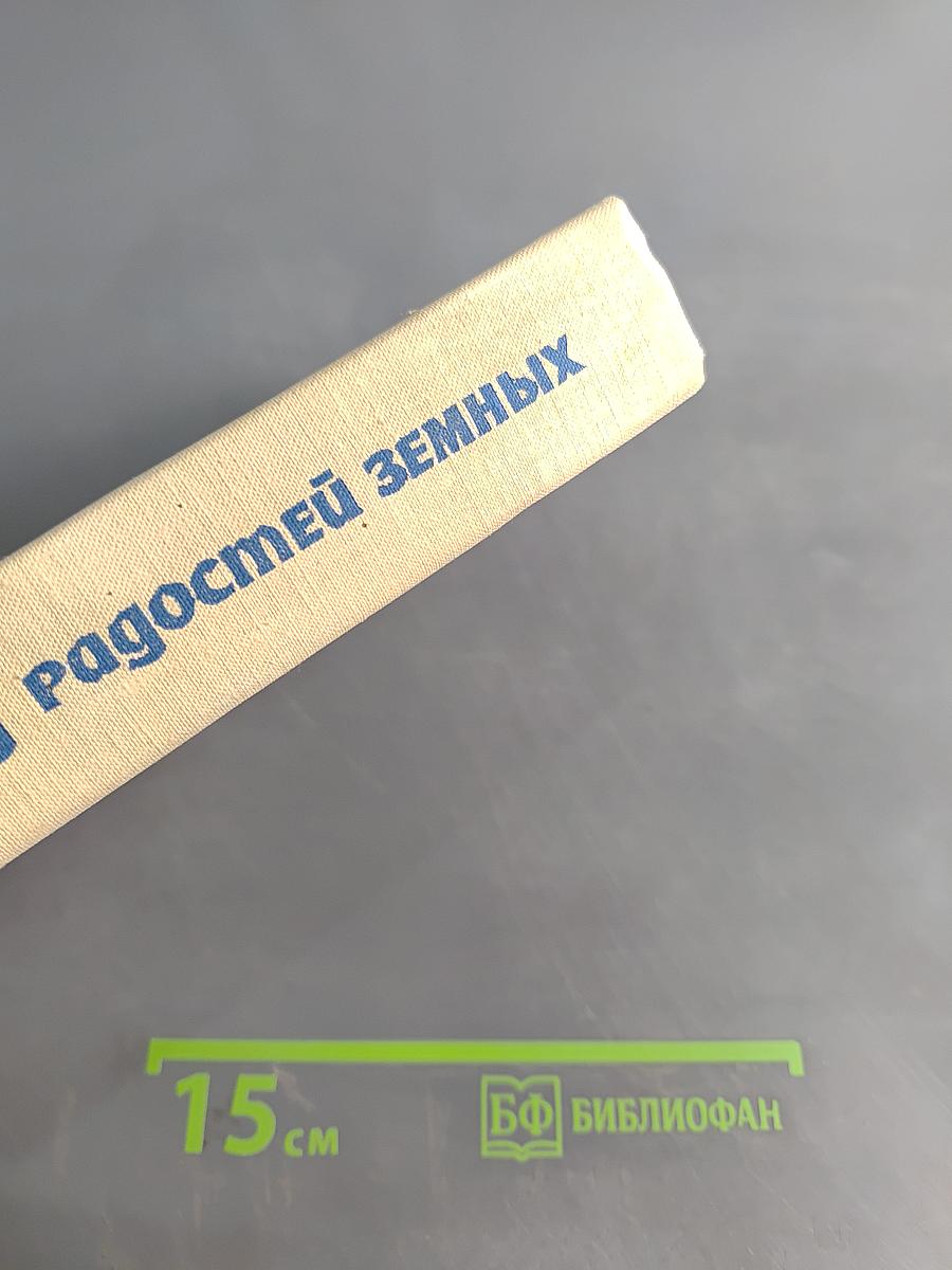 Сад радостей земных