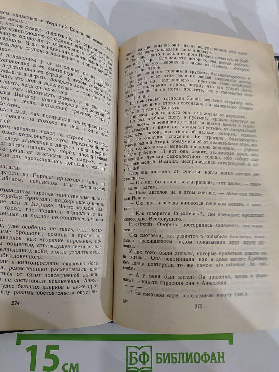 Анжелика: Дорога надежды; Анжелика и ее победа