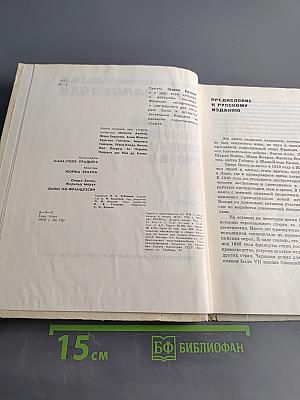 Лыжи по-французски