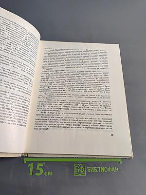 Лыжи по-французски