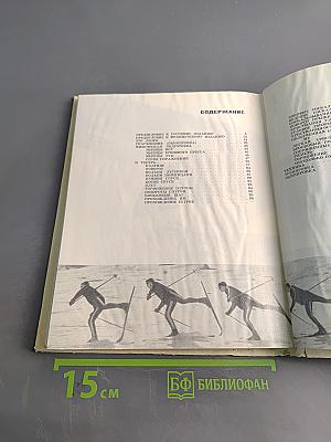 Лыжи по-французски