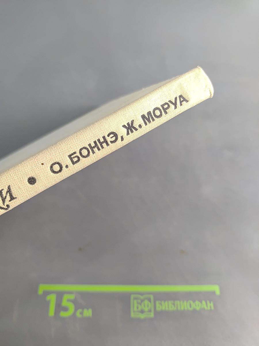 Лыжи по-французски