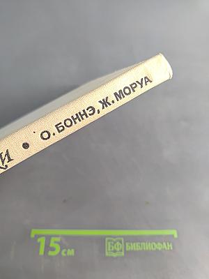 Лыжи по-французски