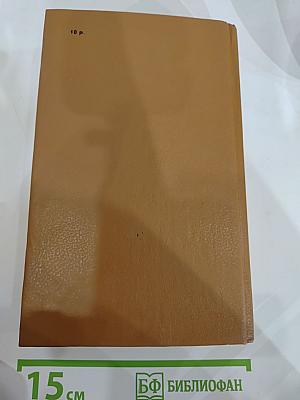 Слово и дело. Роман-хроника времен Анны Иоанновны. Книга 1: Царица Престрашного Зраку