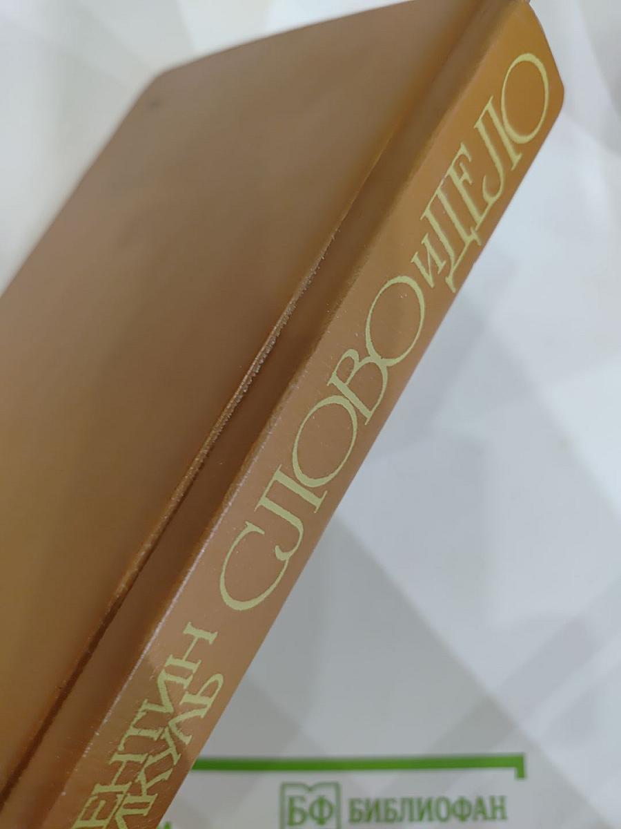 Слово и дело. Роман-хроника времен Анны Иоанновны. Книга 1: Царица Престрашного Зраку