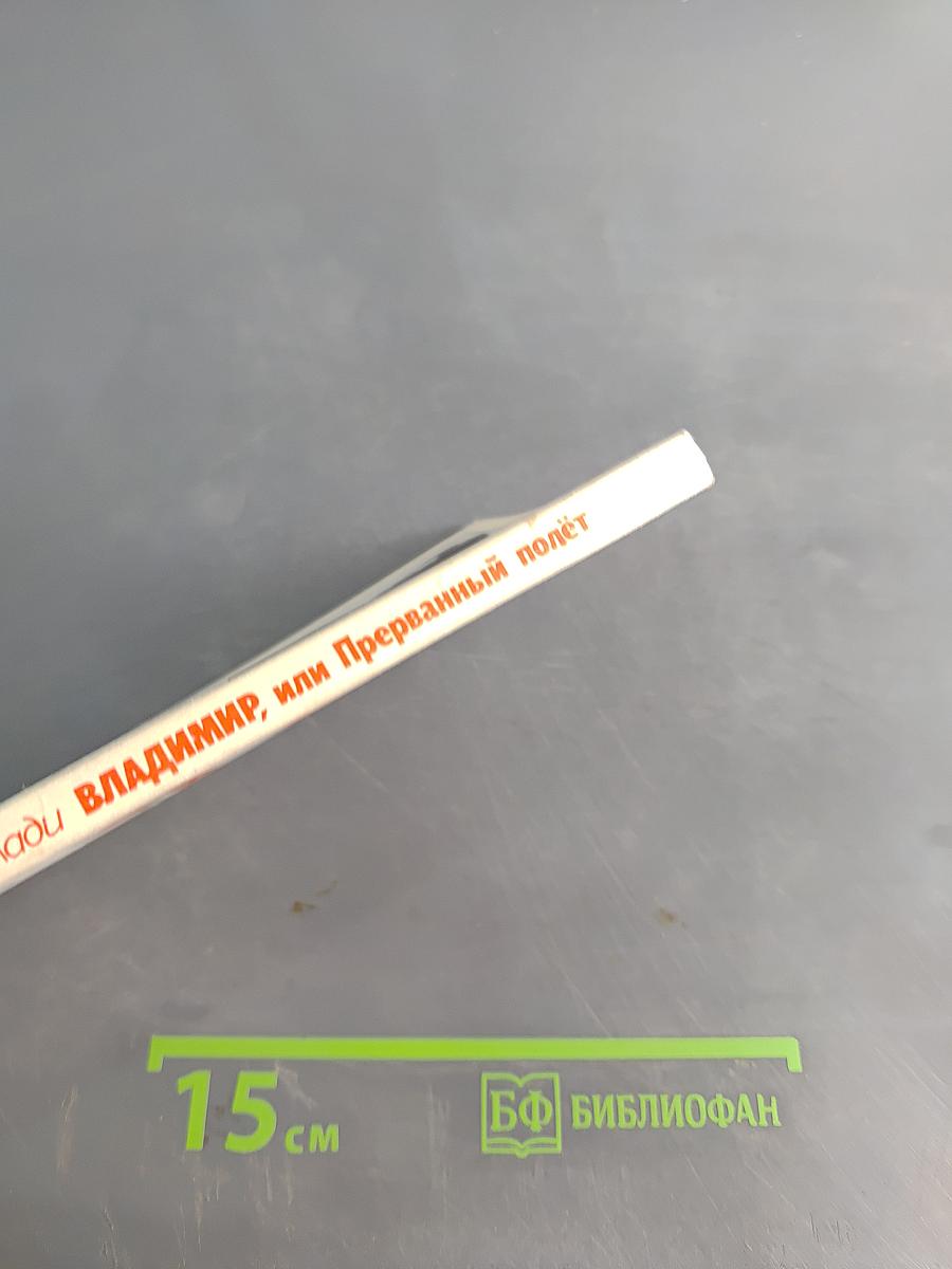 Владимир, или Прерванный полет